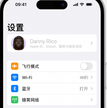 盐田appleID维修服务iPhone设置中Apple ID显示为灰色无法使用 