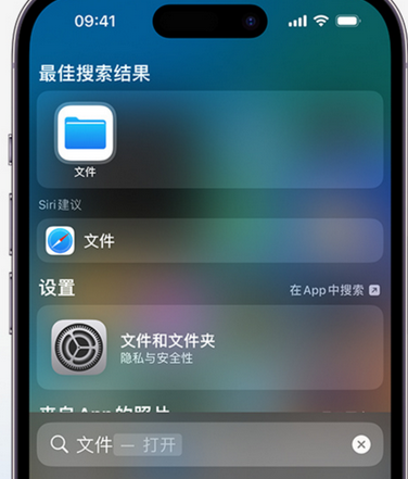 盐田apple维修中心分享iPhone文件应用中存储和找到下载文件 