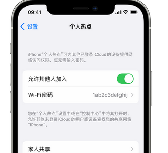 盐田apple服务站点分享iPhone上个人热点丢失了怎么办 