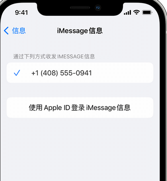 盐田apple维修iPhone上无法正常发送iMessage信息 