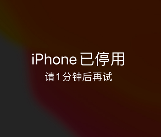 盐田苹果手机维修分享:iPhone 显示“不可用”或“已停用”怎么办？还能保留数据吗？ 