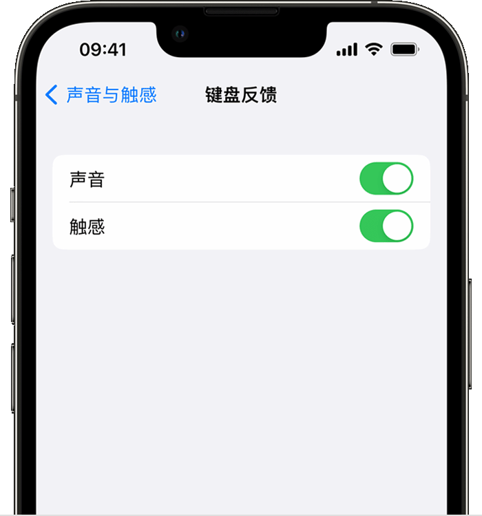 盐田苹果14维修店分享如何在 iPhone 14 机型中使用触感键盘 