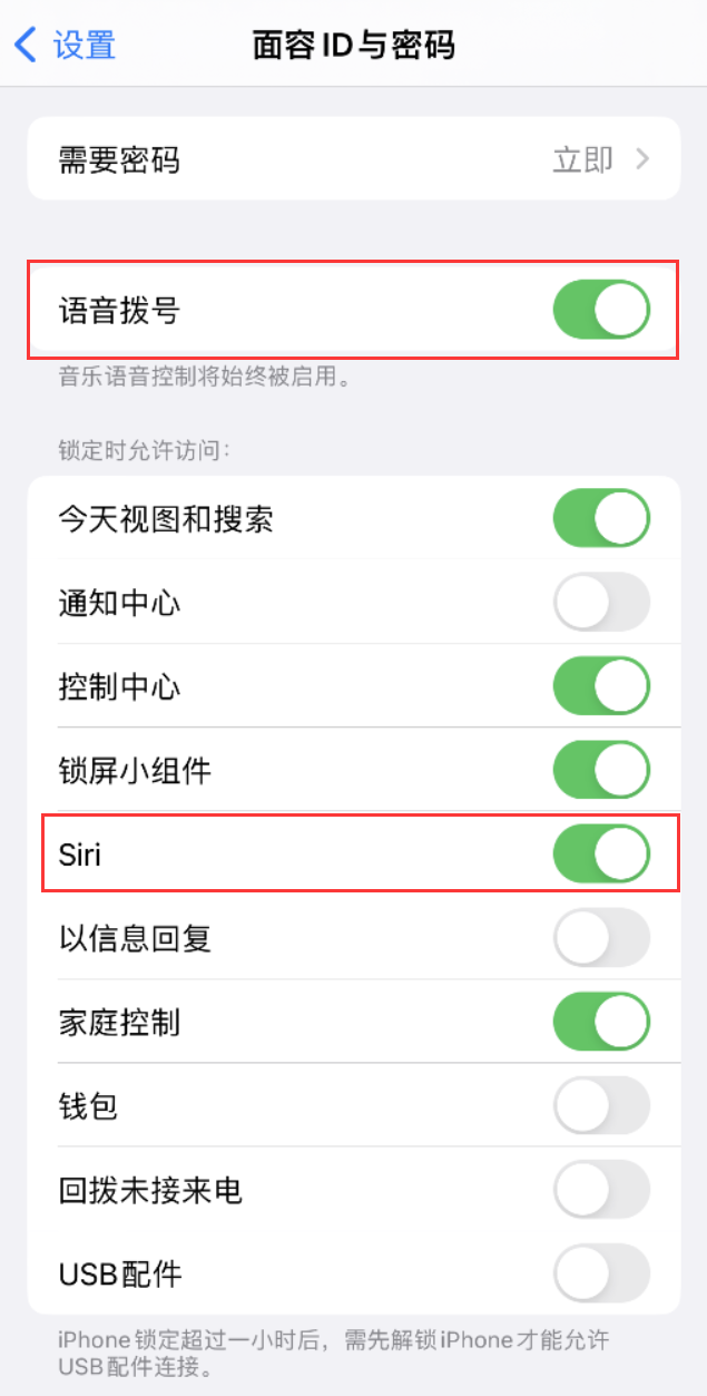 盐田苹果维修网点分享不解锁 iPhone 的情况下通过 Siri 拨打电话的方法 