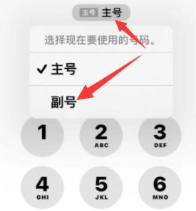 盐田苹果14维修店分享iPhone 14 Pro Max使用副卡打电话的方法 