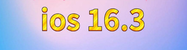 盐田苹果服务网点分享苹果iOS16.3升级反馈汇总 