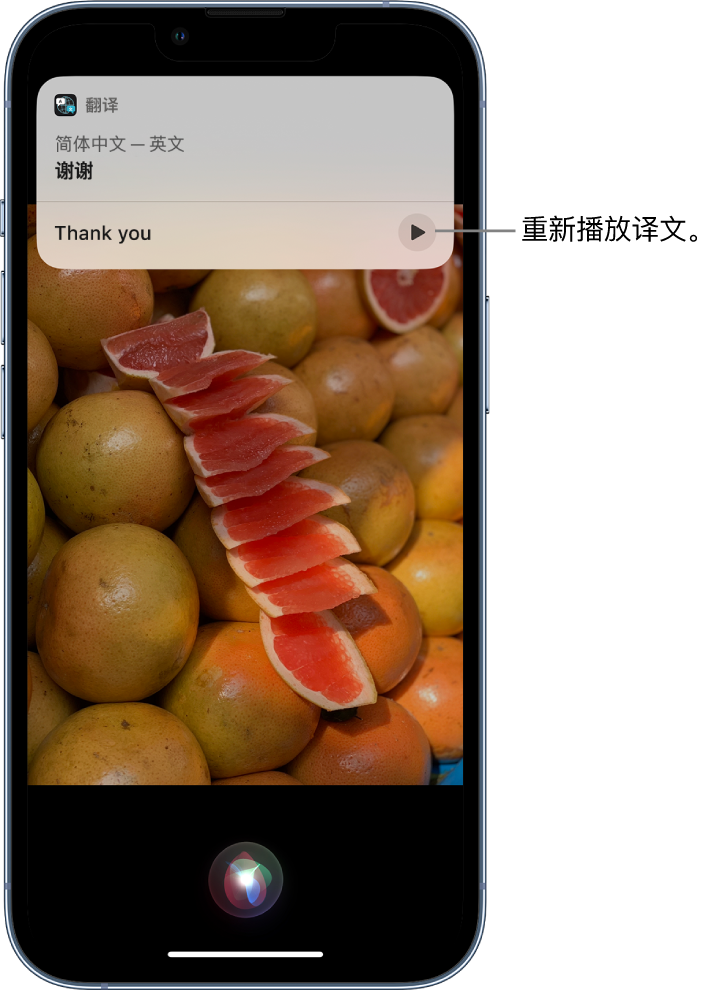 盐田苹果14维修分享 iPhone 14 机型中使用 Siri：了解 Siri 能帮你做什么 