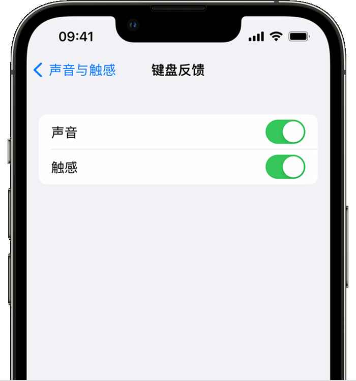 盐田苹果14维修分享iPhone 14 系列机型如何开启键盘声音或触感反馈 