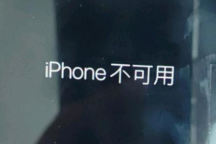 盐田苹果服务网点分享锁屏界面显示“iPhone 不可用”如何解决 