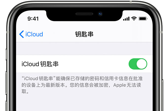 盐田苹果手机维修分享在 iPhone 上开启 iCloud 钥匙串之后会储存哪些信息 