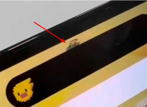 盐田苹果14维修分享iPhone 14 Pro Max灵动岛怎么养宠物 