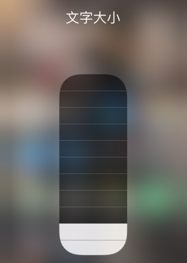 盐田苹果手机维修分享小技巧：在 iPhone 控制中心快速调节字体大小 