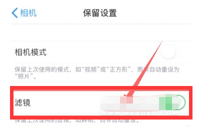盐田苹果13维修分享iPhone13拍照有绿点是怎么回事 