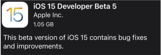 盐田苹果手机维修分享如何升级到iOS15.0 beta5 