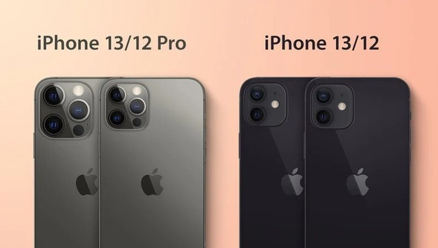 盐田苹果手机维修分享iPhone 13 摄像头长什么样 