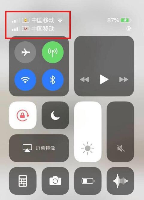 盐田苹果手机维修分享为 iPhone 12 双卡设置标签 