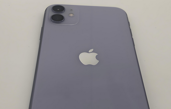 盐田苹果11系统维修分享iPhone11手机系统崩溃无法开机如何解决 